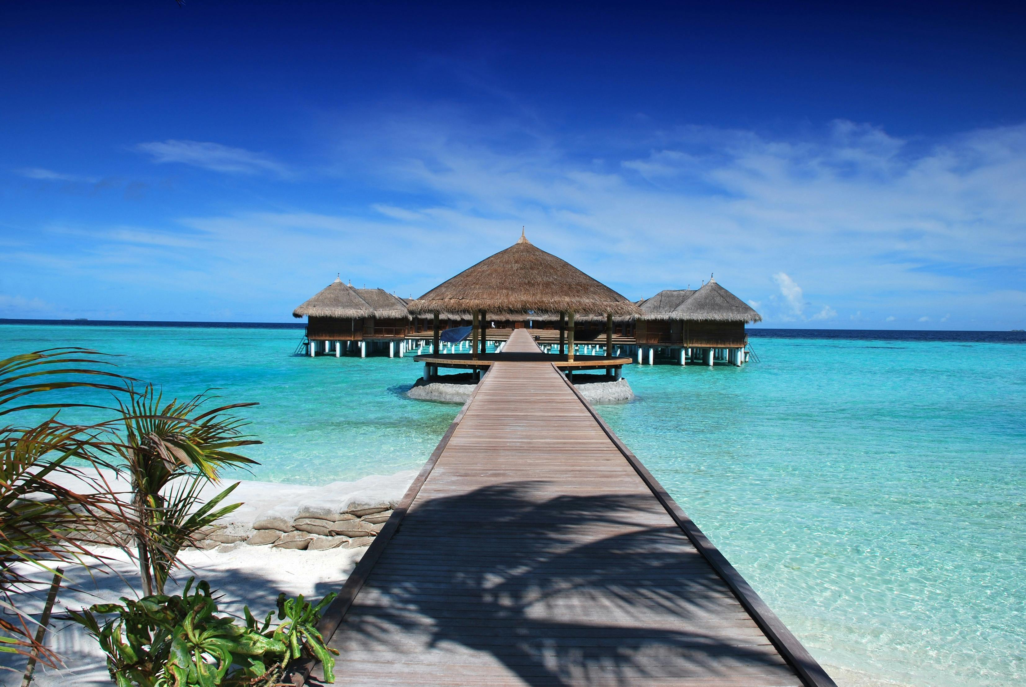 Resorts & Hotels
